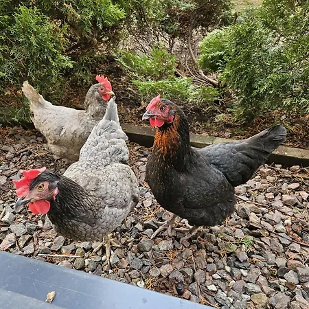 Tallinnhousing Knights And Nobility -3 Bdr * Tallinn